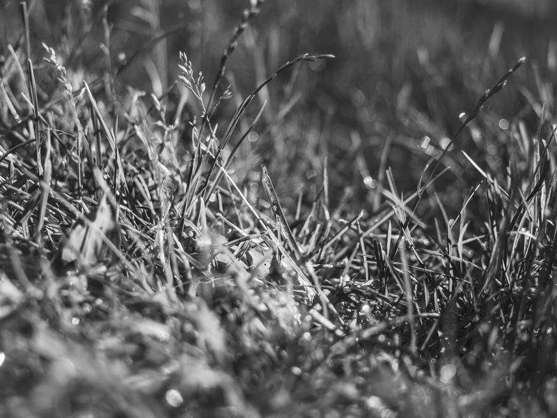 play sudoku online free screenshot 1